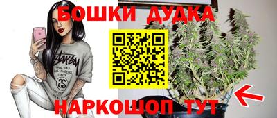 стаф Будённовск