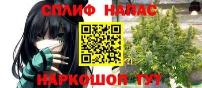 стаф Будённовск