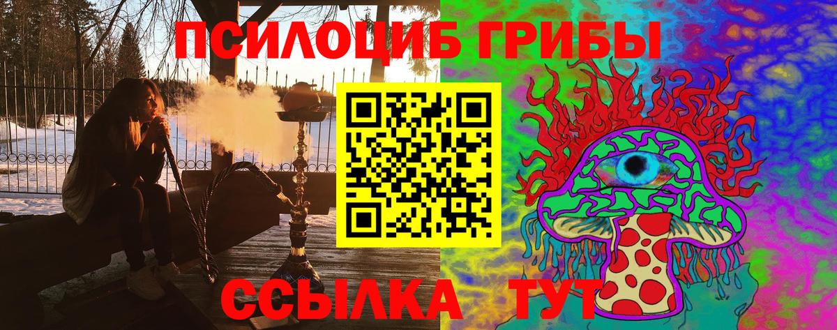 Галлюциногенные грибы Psilocybine cubensis Вологда