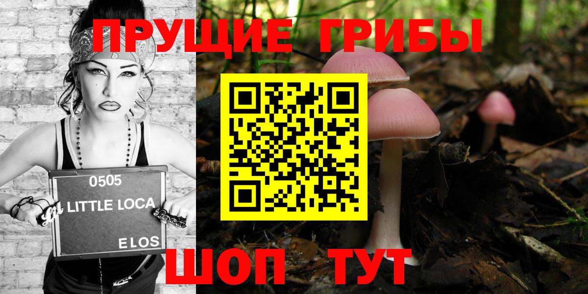 Галлюциногенные грибы Magic Shrooms  Галлюциногенные грибы GOLDEN TEACHER  Вход с VPN  Вологда 