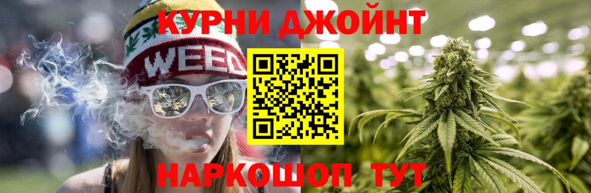 Бошки Шишки конопля Вологда